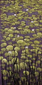 Lotus pond koi