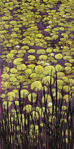 Lotus pond koi
